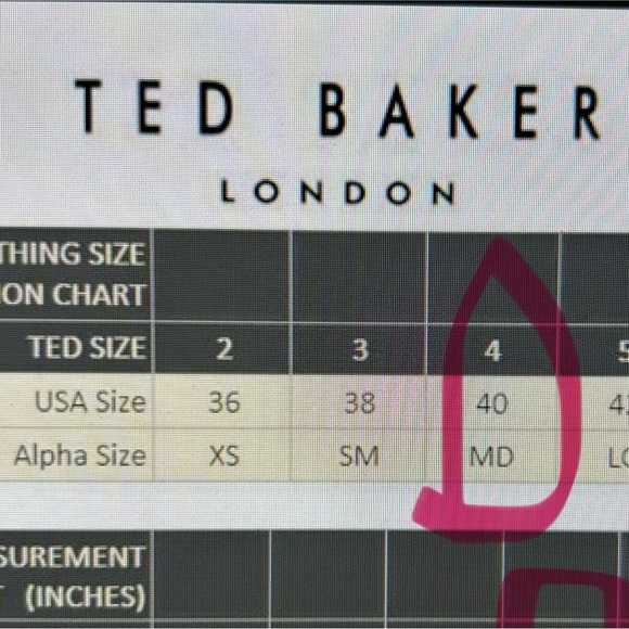 Ted Baker Sharlot Fit & Flare Pink Cap Sleeve Mesh Panel Dress | Size Medium - Picture 15 of 16